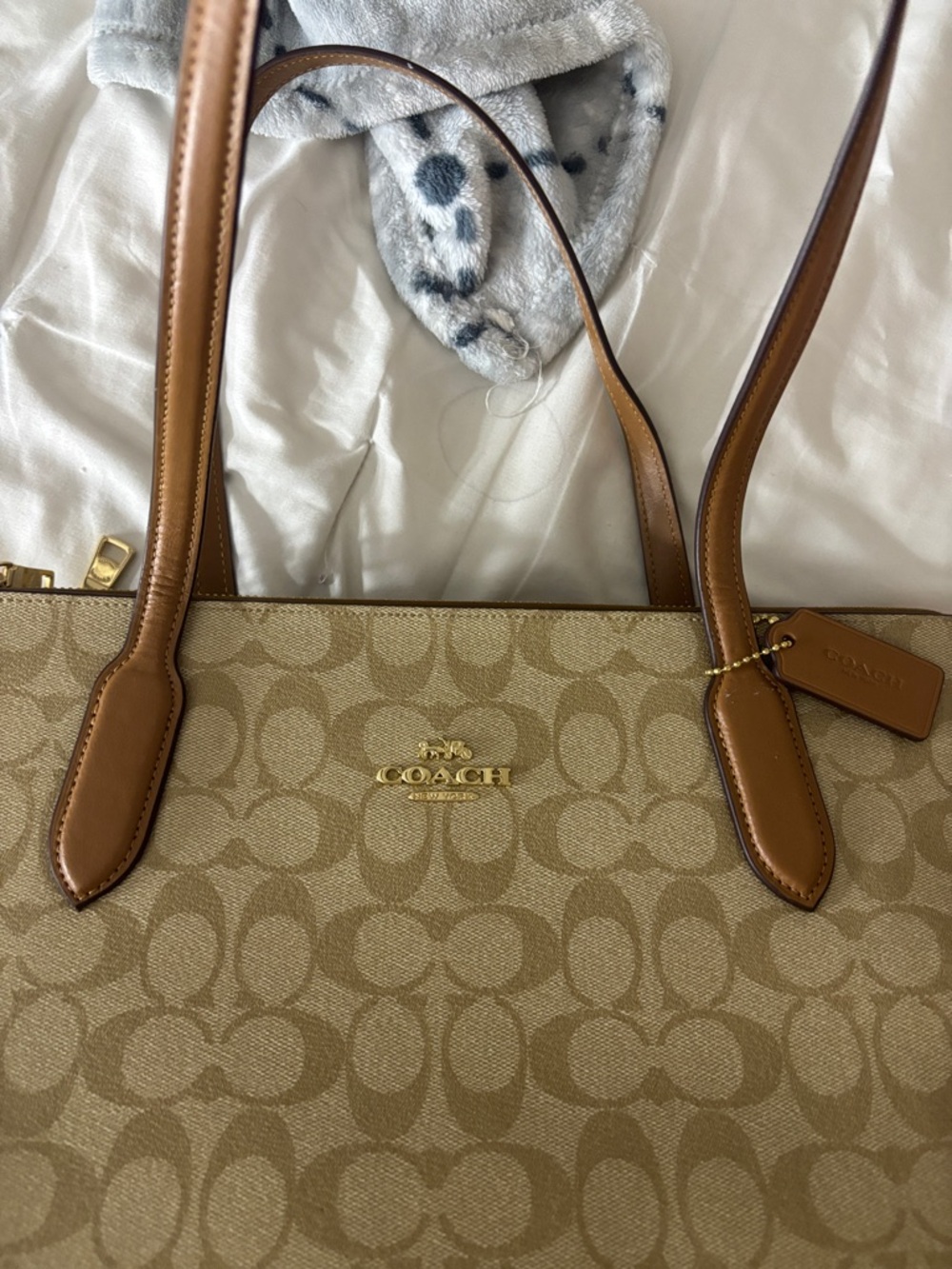 COACH Beige & Brown Signature Canvas Tote
